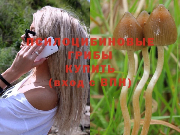 дмт Белокуриха