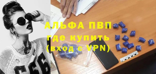 дмт Белокуриха